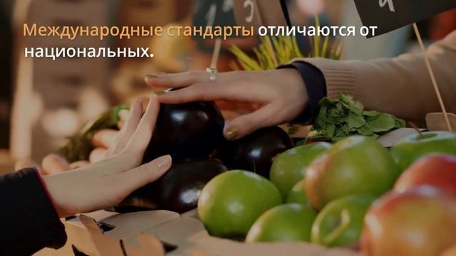 Сертификация продукции и международное признание — sertex.org