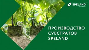 Субстраты SPELAND. Производство