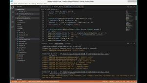VS code debugging C++ in Linux