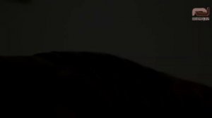 Диван Генрих из Беларуси от Пинскдрев!