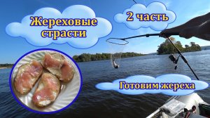 На два дня за жерехом и окунем. Часть 2. Готовим жереха на бутерброды.
