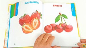 ГЛАВНАЯ КНИГА МАЛЫША. ОВОЩИ, ФРУКТЫ И МНОГОЕ ДРУГОЕ