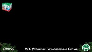 СП8020