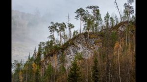 День памяти Леонарда Дмитриевича Постникова