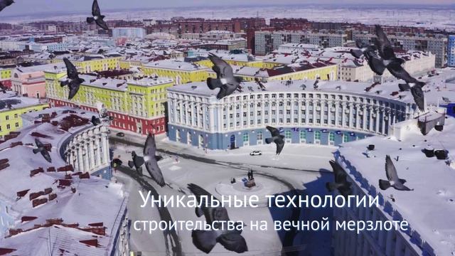 Российская Арктика - уникальная жизнь под созвездием Большой Медведицы. 2022