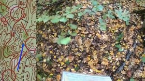 Горы в Саратове похожие на Железноводск. Нарат 2022, М-21к, классика (Headcam orienteering №46)