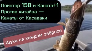 Щука на на каждом забросе. Лайки Крафт Поинтер 158 и Мегабасс Каната +1