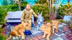 УСТАВШИЕ, но СЧАСТЛИВЫЕ Асада, Симба и ШерХан идут домой за Олегом Зубковым! ПРОГУЛКА УДАЛАСЬ!