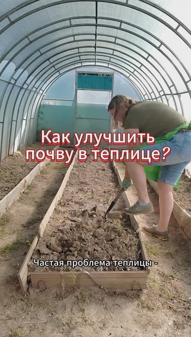 Как улучшить почву в теплице #теплица #shorts