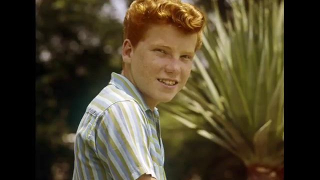 Eddie Hodges - SEEIN' IS BELIEVIN' (Jack Nitzsche) (Darlene Love) (1962) смотреть онлайн