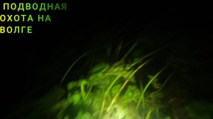 Первое погружение с камерой