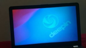 Install Deepin OS alongside Windows 11