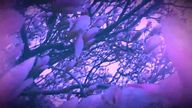 BLOSSOM 🌸 ( By Ben Daniels ) смотреть онлайн