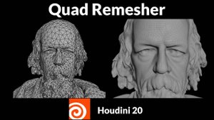 How to Use the Quad Remesh Tool in Houdini 20
