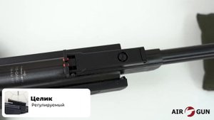 Пневматическая винтовка Borner Chance Two XS-QA8C