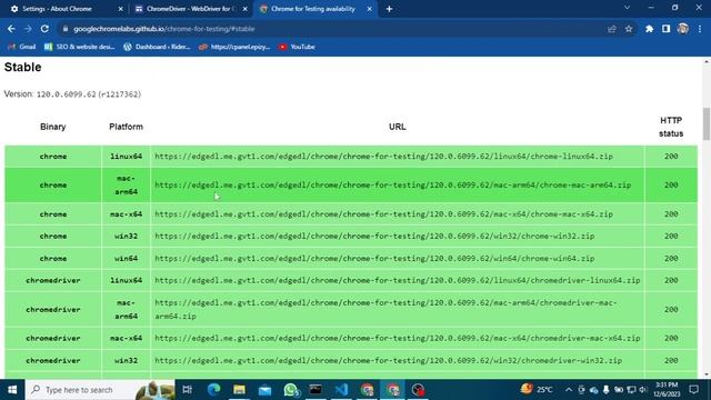 How to Download Chrome Driver 120 #chromedriver #webdriver #selenium