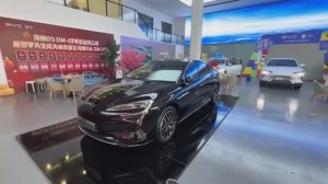 The New 2025 BYD SEAL 07 DM-i PHEV - Exterior And Interior