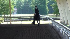 Zakai Walk/Trot with Amber Pitts riding Canterbury