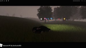 Наводим маленькую суету в Бобруйске RP