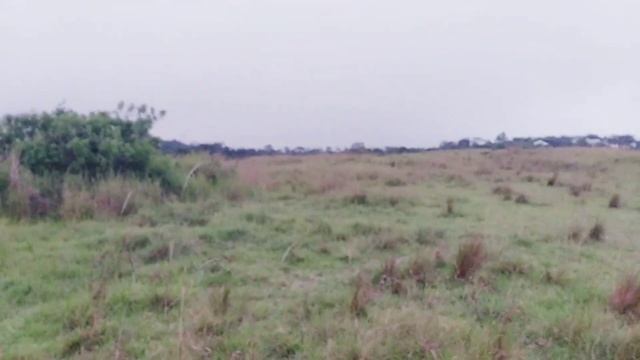 Bersama Para Bruder SVD di Ende Kunjungi ODGJ Terpasung di Detukeli (Flores) смотреть онлайн