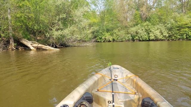 walking in the water mt Morris, mi смотреть онлайн