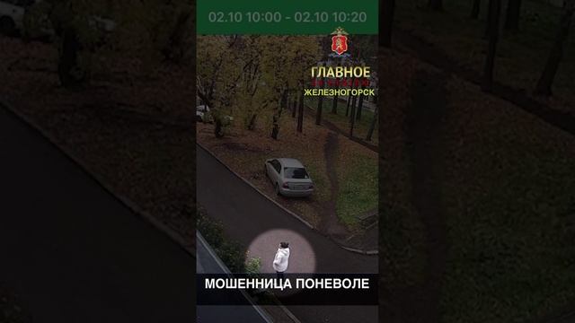 МОШЕННИЦА ПОНЕВОЛЕ