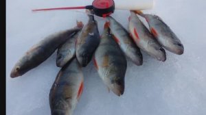 РЫБАЛКА весной\море СОЛНЦА\много ЛЬДА\Отличный ОТДЫХ!