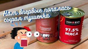 СЫРАЯ ТУШЕНКА ОТ ИЗВЕСТНОГО ЗАВЕДЕНИЯ
