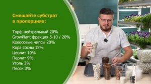 Грунт для аироидных растений