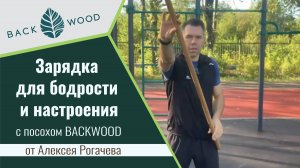 Утренняя зарядка для бодрости и настроения с разборным посохом Backwood