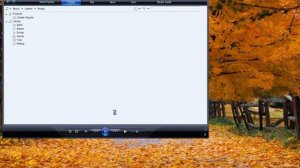 Windows XP Professional