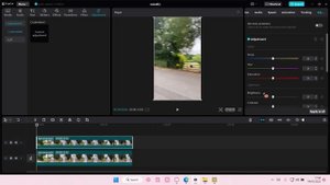 Fade To Black & White Video Effect Tutorial In CapCut PC