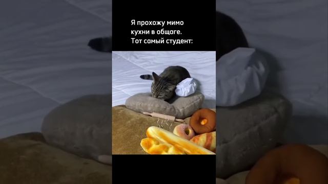 Я просто люблю готовить