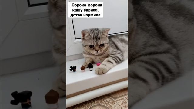 Сорока-ворона