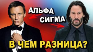 Разница между Альфа и Сигма самцами (бизнес, женщины, лидерство)