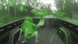 Roger Waters - Picture That