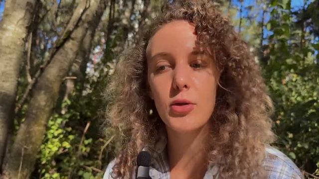 Механизм/ Притянуть К Себе Всё Что Угодно смотреть онлайн