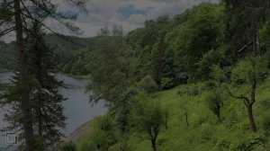 Божье Слово дарует так необходимую всем нам надежду и утешение.