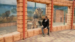 В Ставропольском зоопарке родились зелёная мартышка, муфлоны и буйвол