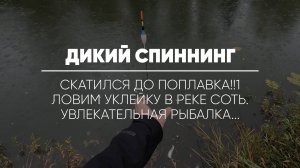 ДИКИЙ СПИННИНГ // Скатился до поплавка!!1 Ловим уклейку в реке Соть. Увлекательная рыбалка...