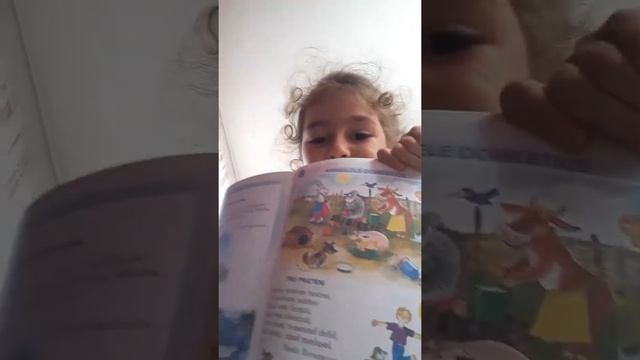 Румынский  язык
