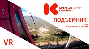 Канатная дорога над реликтовым лесом. Красная поляна VR 360 градусов.