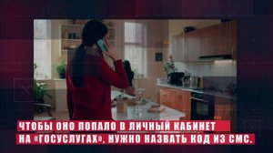 «Телефонные мошенники на Госуслугах»