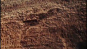 Новые факты о Древнем Египте, о которых приятно молчать