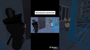 Кострация Кроликов