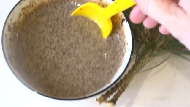 Превратите свои Тонкие волосы в ГУСТЫЕ - простой состав уменьшит выпадение, обеспечит рост . смотреть онлайн