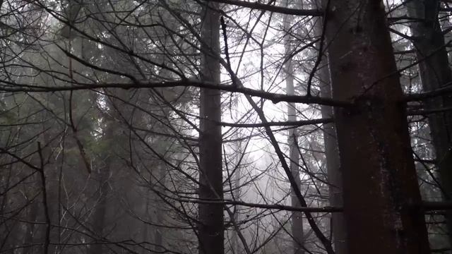 Жильцы старого дома смотреть онлайн