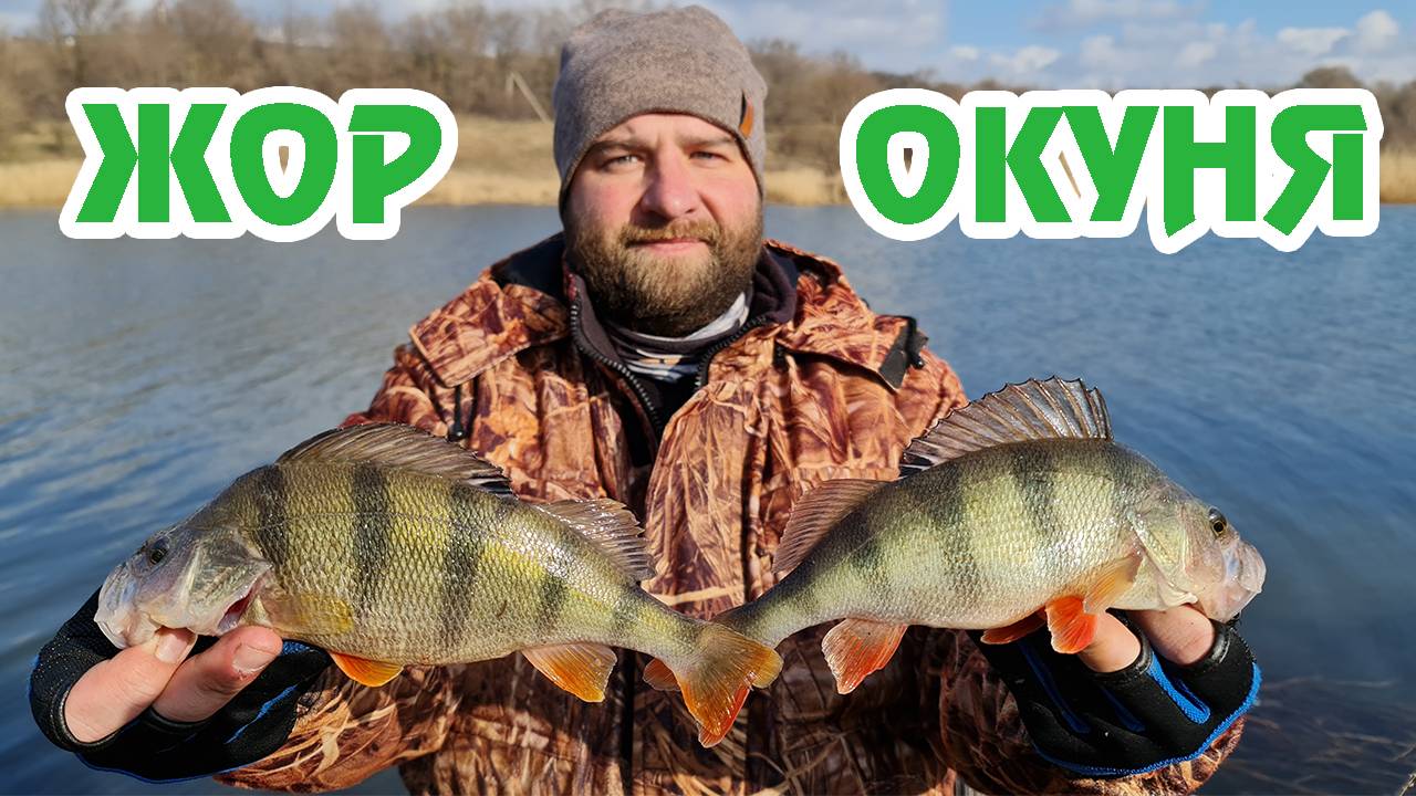 Попали на ЖОР ОКУНЯ / Окунь на реке / Рыбалка в Каратаево / Рыбалка Зимой / Окунь в Феврале /