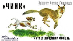 Эрнест Сетон Томпсон "Чинк" (рассказ)