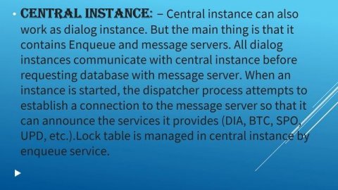 what is sap instance & SAP SID?